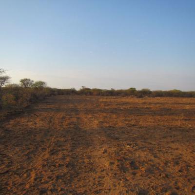 Img 7415
