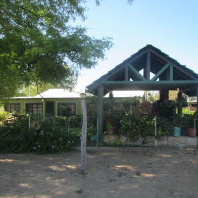 Img 0880